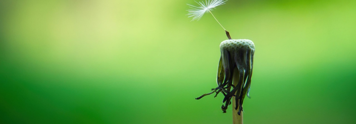 Achtsamkeit Achtsamkeitskurs mindyourself