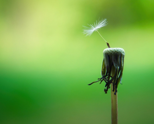Achtsamkeit Achtsamkeitskurs mindyourself
