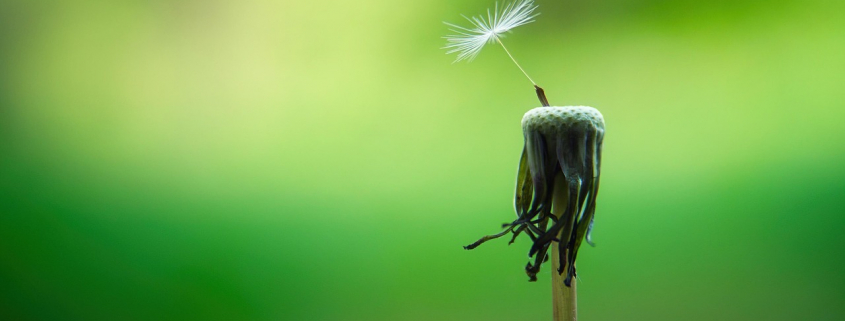 Achtsamkeit Achtsamkeitskurs mindyourself